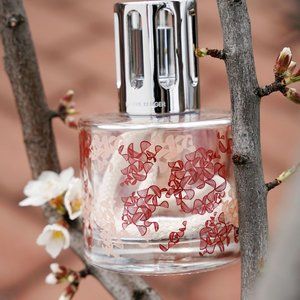 Ribbon Gift Set (Lampe berger)